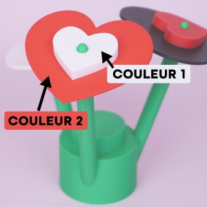 Tiflow Fleur Coeur Bicolore