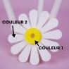 Tiflow Fleur Pâquerette Bicolore